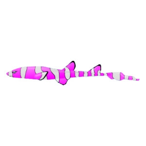 Pink Clownfish Cat Shark